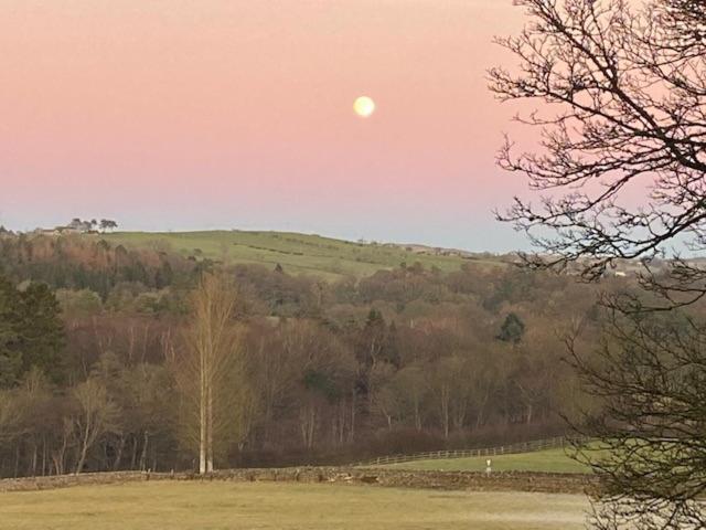 The Bothy At Ivy Cottage Haltwhistle Buitenkant foto